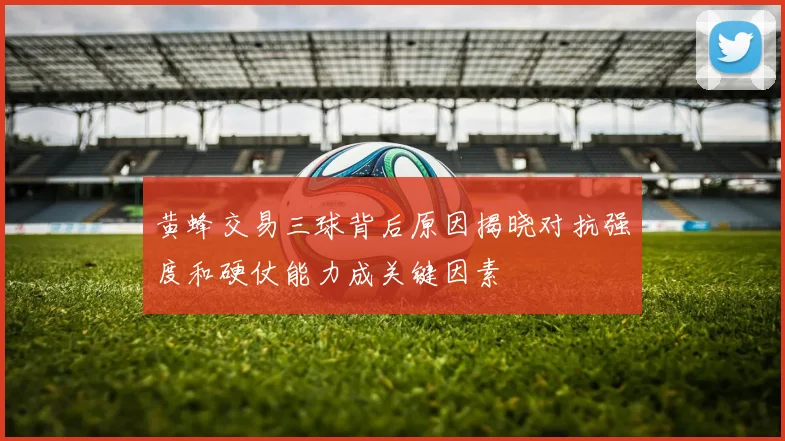 黄蜂交易三球背后原因揭晓对抗强度和硬仗能力成关键因素